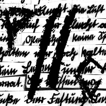 Pig​/​/​Control – Vor den Mauern 12"