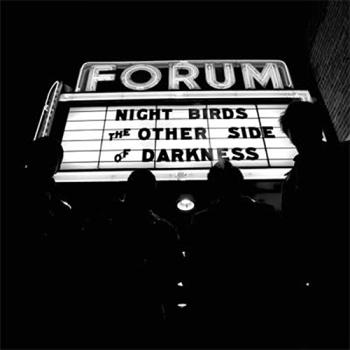 NIGHT BIRDS - The Other Side Darkness LP