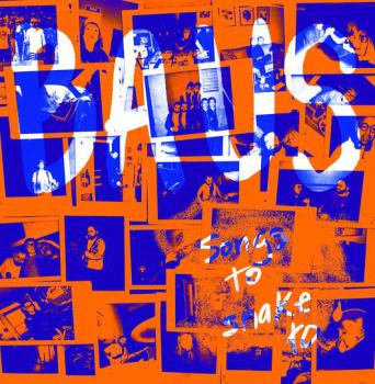 Baus ‎– Songs To Snake To LP