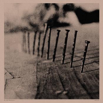 Blind Seagull - "Nails" LP