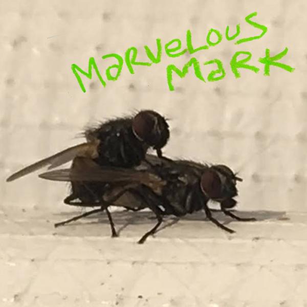 Marvelous Mark - Buzzin' LP