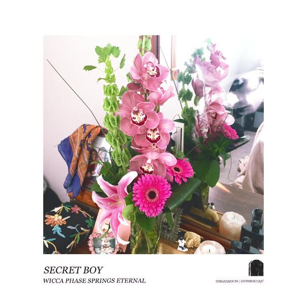 Wicca Phase Springs Eternal ‎– Secret Boy LP