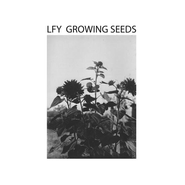 LUST FOR YOUTH - Growing Seeds LP